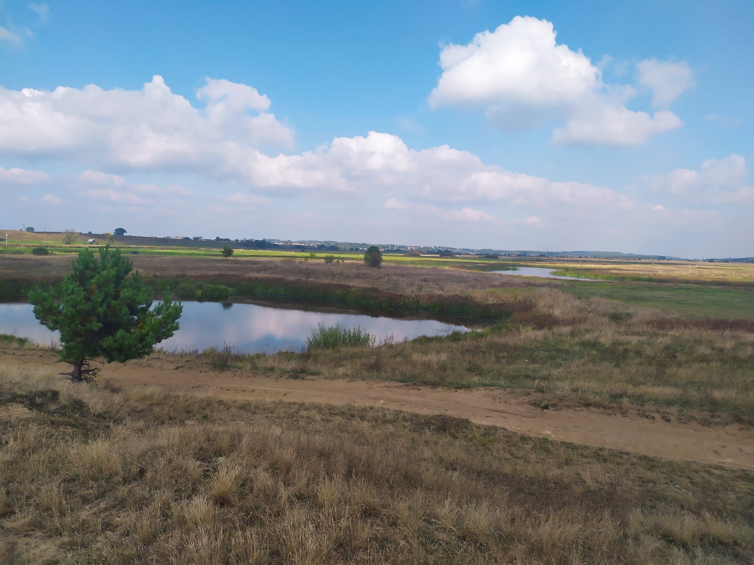 Osada wydmowa (Grądy Woniecko)